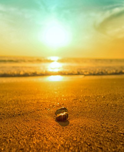 sunset bokeh