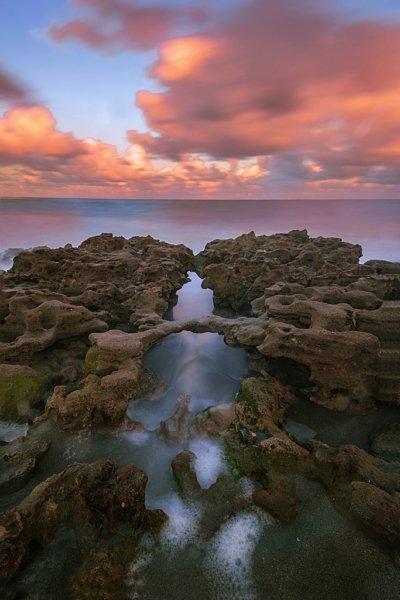 Coral Cove 5