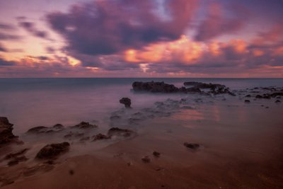 Coral Cove 1