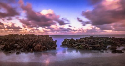 Coral Cove 13