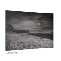 Popham Dunes - Image 3