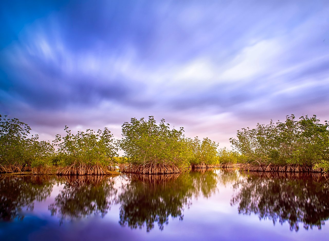 78 - Mangroves Blues woo