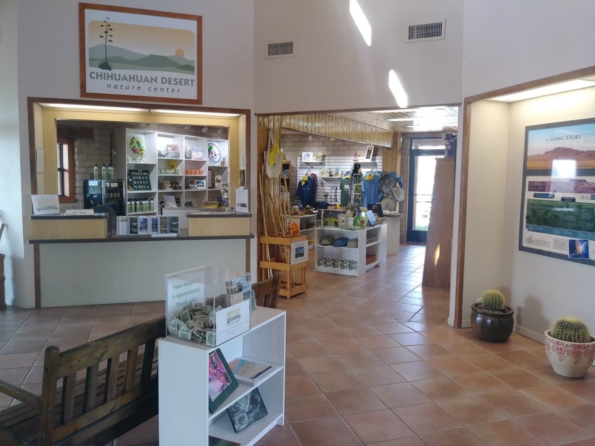 Chihuahuan Desert, fort davis, texas
