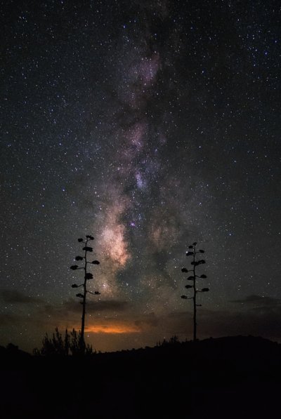 Desert Milky Way