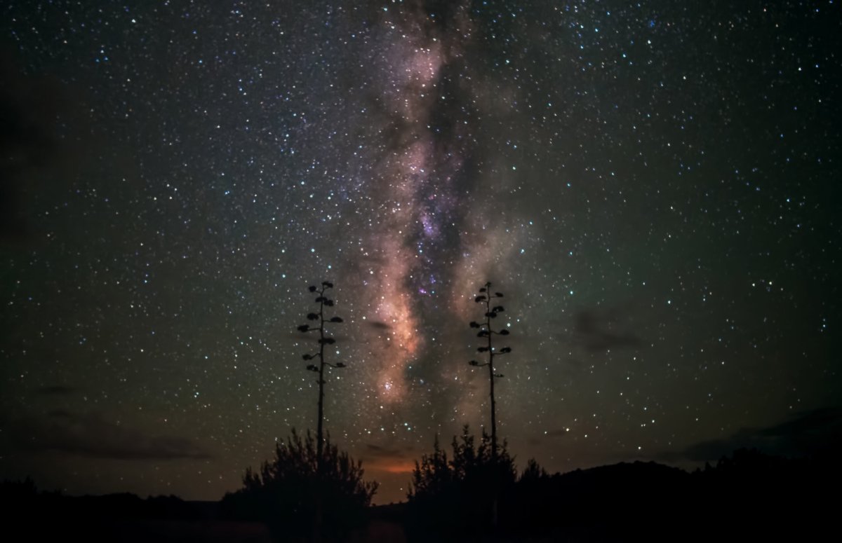 Milky Way in the desert