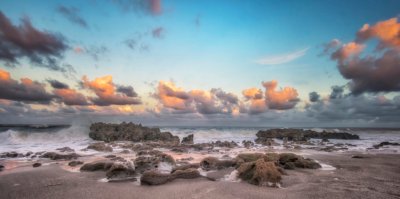 Coral Cove 3
