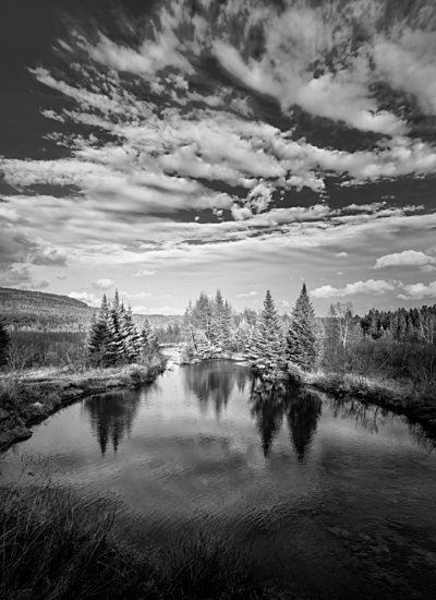 Jackman Sky (B&W)