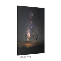 Desert Milky Way - Image 2
