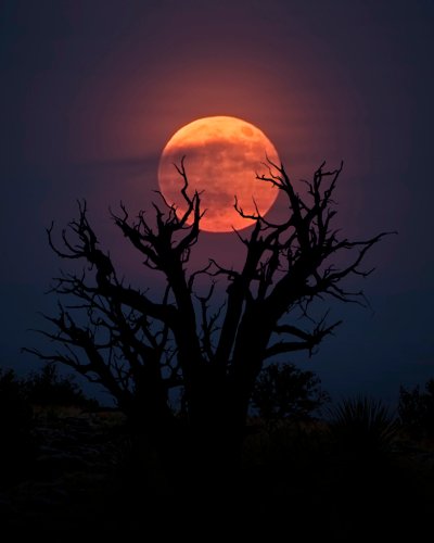 Lunar Spell