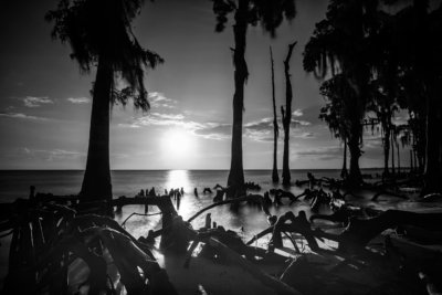 black and white louisianna sunset