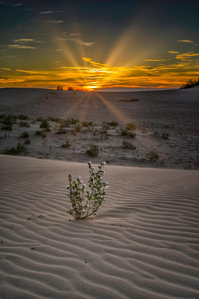 sunset, desert, sand, texas