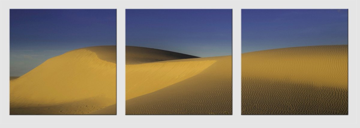 sand dunes west texas desert