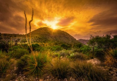 Guadalupe Mountains