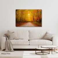 Baxter's Palette - Image 2