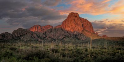 Big Bend Morning