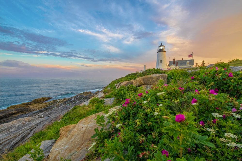 Sunset behind Maine Pemaquid Point Lighthouse with a rocky shore dotted with flower blooms