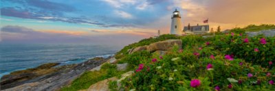 Pemaquid Lighthouse Blossoms