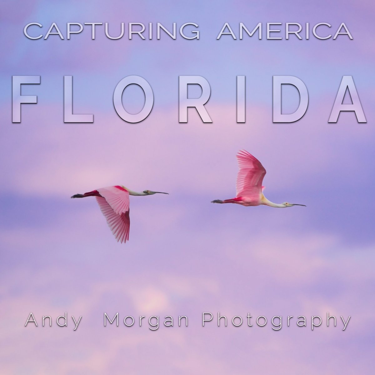 Capturing America Photobook Portfolio Florida Andy Morgan Photographer