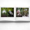 Capturing America - Florida (paperback photobook) - Image 2