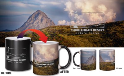 Mitre Peak Color Changing Mug