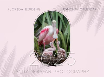 Florida Birding 12-Month Photo Calendar