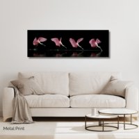 Spoonbill Sequencia - Image 3