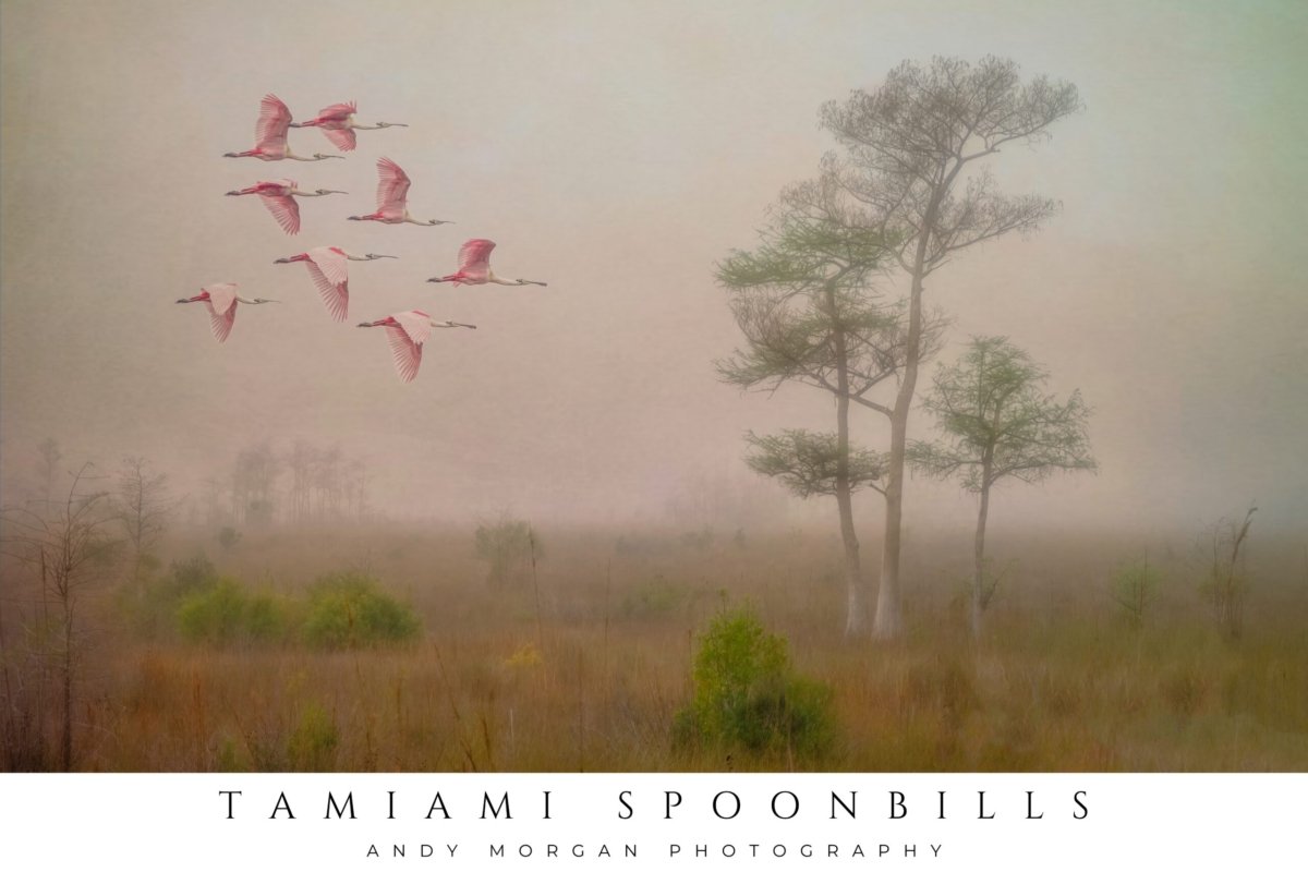 A flock of vibrant roseate spoonbills with pink plumage fly in formation through a misty, atmospheric landscape with scattered trees and tall grass.