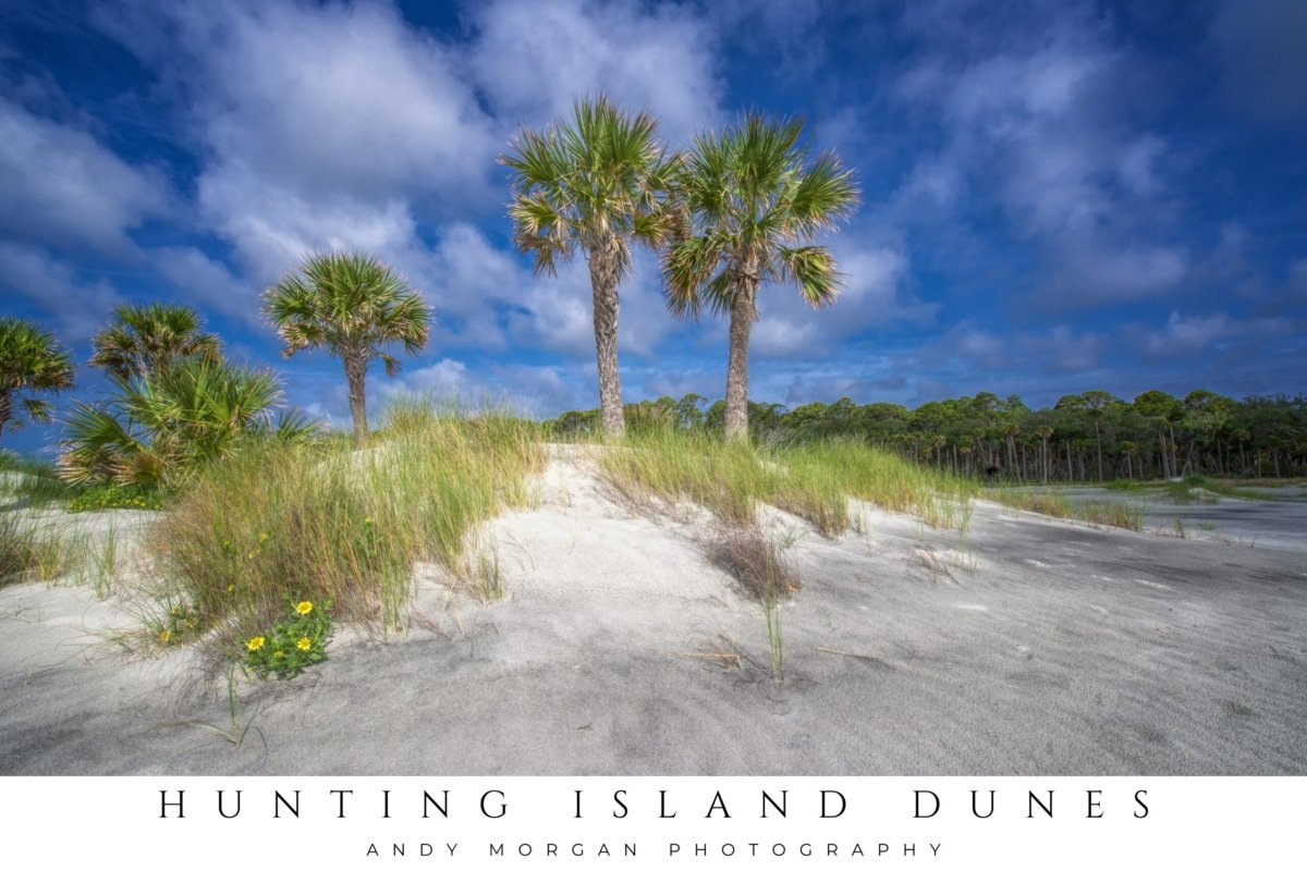 Vibrant poster showing a sunny beach scene with green palm trees and sand dunes against a bright blue sky at Hunting Island State Park, South Carolina.