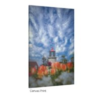 Monhegan Island Light - Image 3
