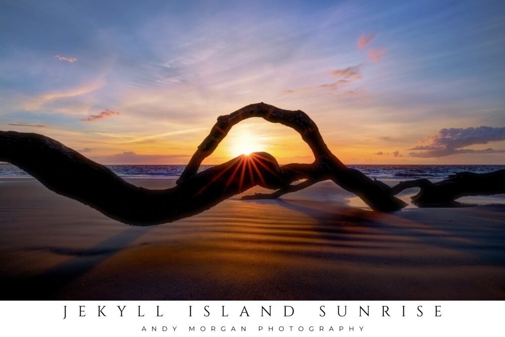 Sunburst sunrise through driftwood arch on the beach at Jekyll Island, Georgia