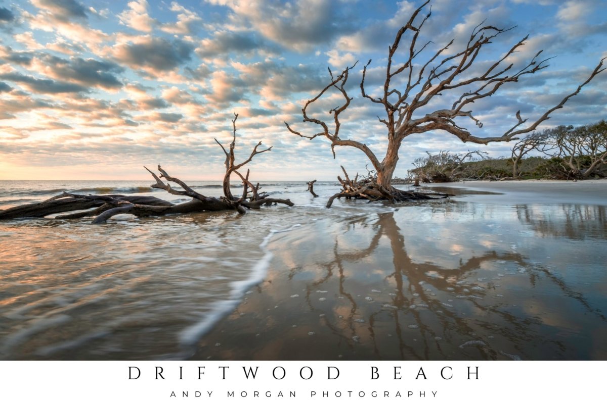 Sunrise over driftwood trees on the shoreline of Driftwood Beach, Jekyll Island, Georgia