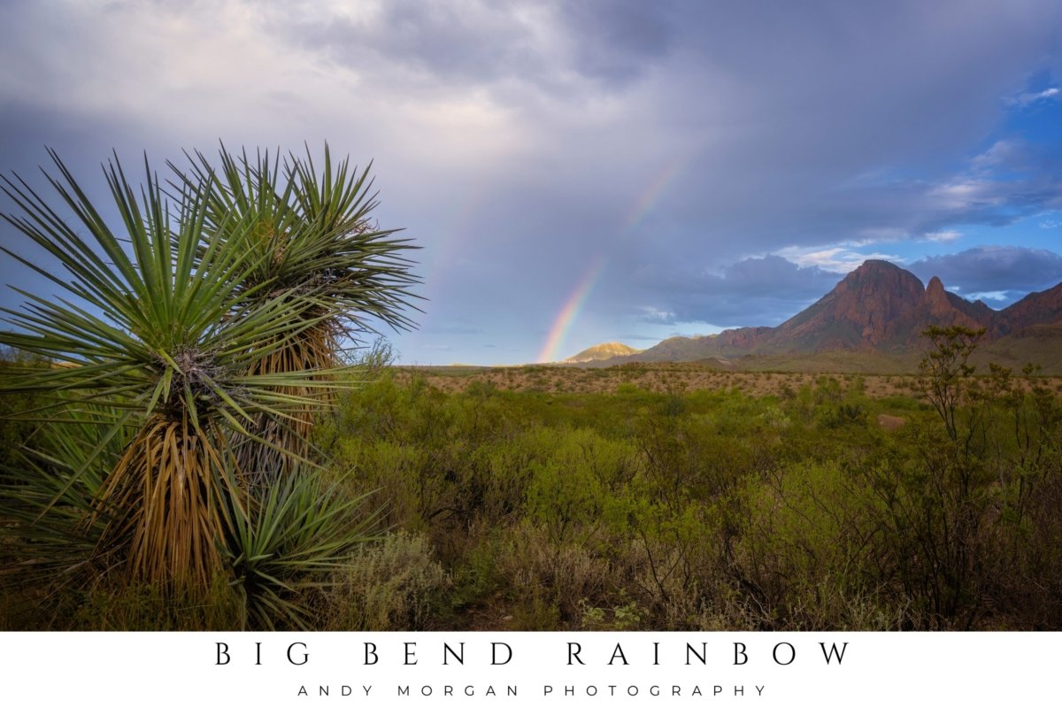 Poster titled "Big Bend Rainbow" showing a full rainbow arcing over mountains and a desert landscape with a large yucca plant in the foreground under a dramatic sky in Big Bend National Park, Texas.