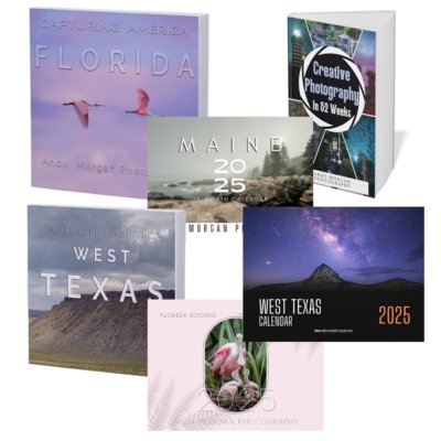 Books & Calendars
