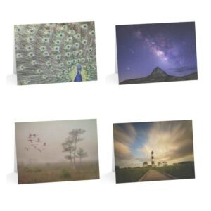 Four different nature-themed notecards displayed, featuring a peacock's fanned tail, the Milky Way over a mountain, pink spoonbills flying through fog, and Bodie Island Lighthouse at sunset.