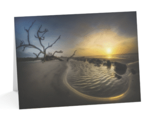 A notecard displaying a striking photograph of a gnarled, bare tree on a sandy beach, with a golden sunrise reflecting in shallow water puddles on the sand, under a dramatic sky.
