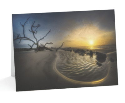 A notecard displaying a striking photograph of a gnarled, bare tree on a sandy beach, with a golden sunrise reflecting in shallow water puddles on the sand, under a dramatic sky.