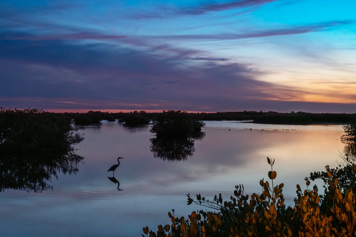 A heron silhouetted against a vibrant purple and orange sunset over tranquil water, with reflections, at Merritt Island National Wildlife Refuge.