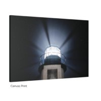 Marshall Point Beams - Image 3