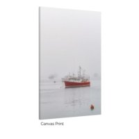 Scarlet Mist - Image 2